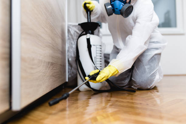 Best Mosquito Control Services  in Magnolia, TX