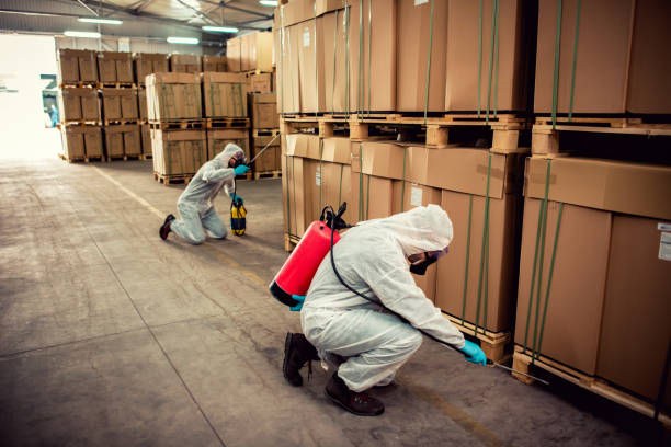 Best Local Pest Control Services  in Magnolia, TX