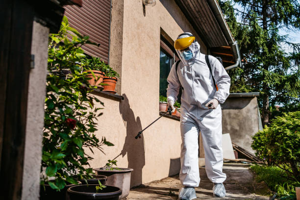 Best Flea Control Services  in Magnolia, TX