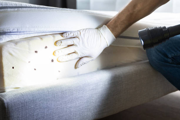 Best Exterminator Services  in Magnolia, TX