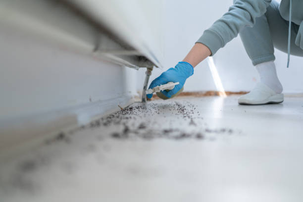 Best Emergency Pest Control  in Magnolia, TX