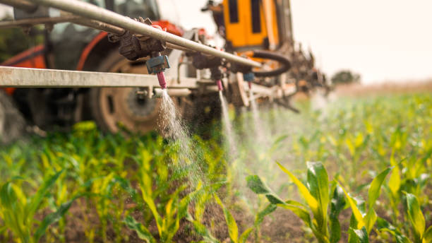 Best Wildlife Control Services  in Magnolia, TX