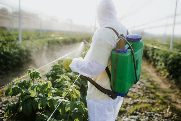 Best Bed Bug Extermination  in Magnolia, TX